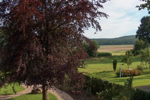 Landhotel Ridder Bad Laer Esterno foto